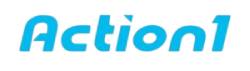Action Managed IT Service