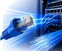 cables and fiber optics coming from a server