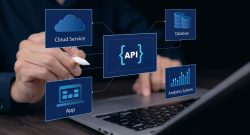 person working on Laptop with api on their screen